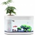 Экосистема Xiaomi Ecosystem Small Water Garden